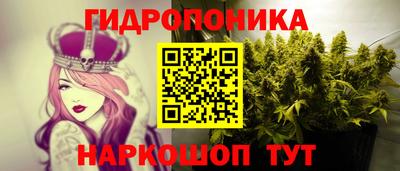 PSILOCYBIN Кулебаки