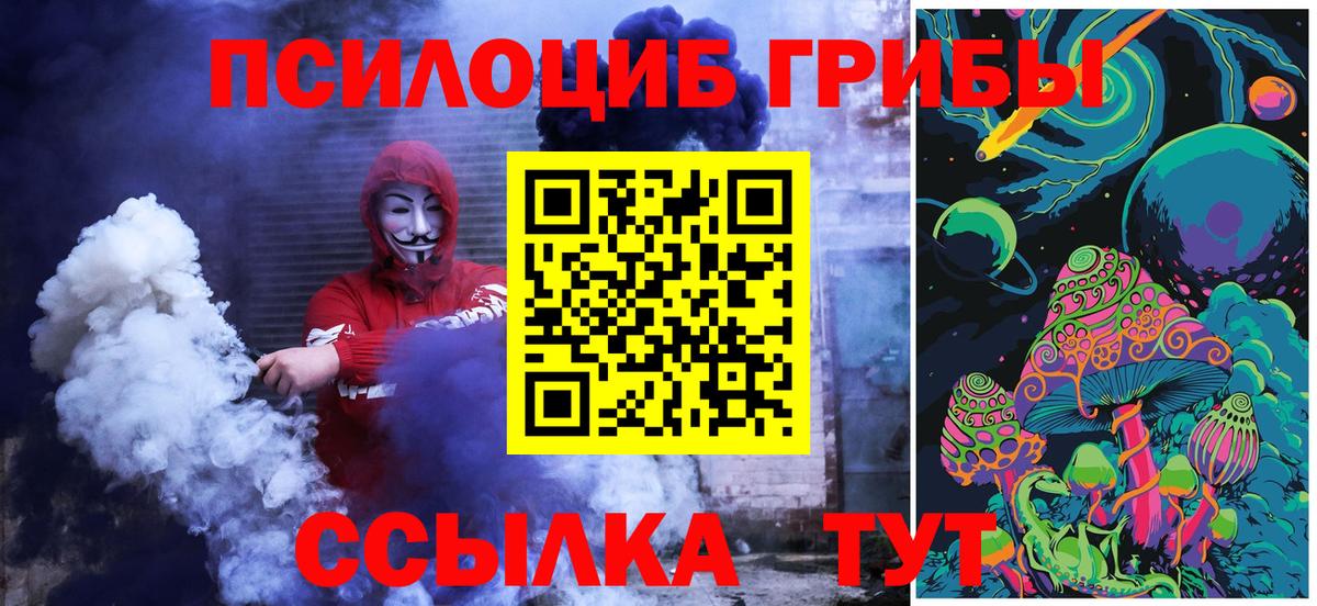 Псилоцибиновые грибы прущие грибы Дедовск