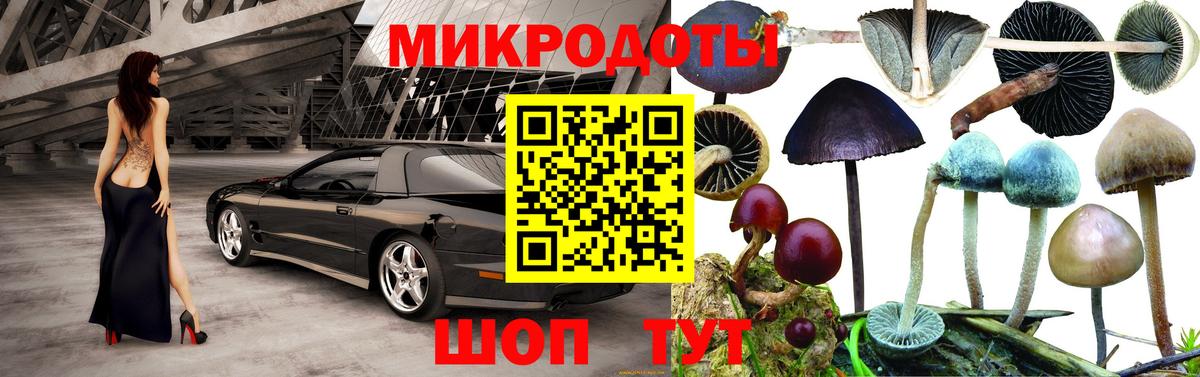 наркошоп  Псилоцибиновые грибы Cubensis  Псилоцибиновые грибы ЛСД  Вход с VPN  Дедовск 